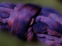La_sinfonia_violeta_2_640x480_2